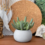 Mini Succulent Planter | Air Plant Holder AURA 8 HOME