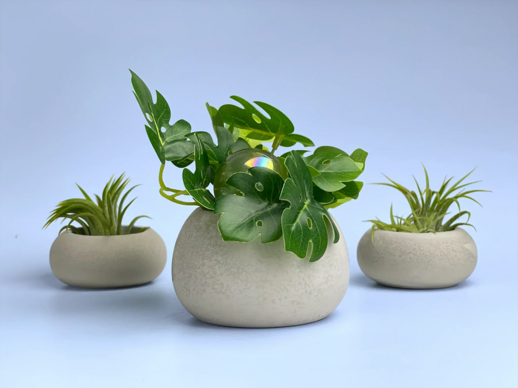 Mini Succulent Planter | Air Plant Holder, side view - House Of Avana