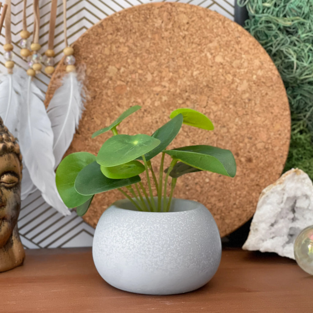 Mini Succulent Planter | Air Plant Holder AURA 8 HOME