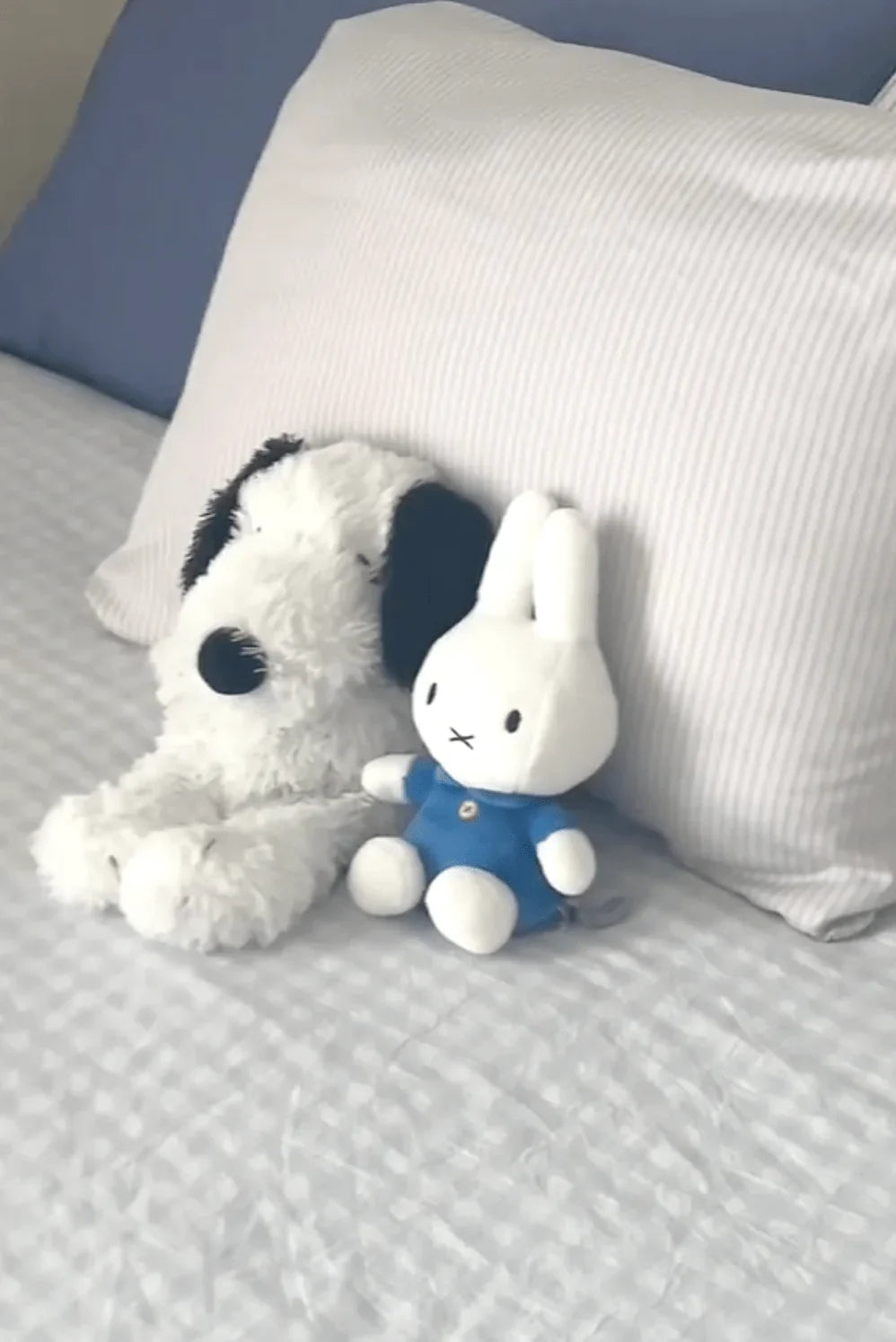 Mixed Gingham Striped Bedding Set / Mint Green Ever Lasting