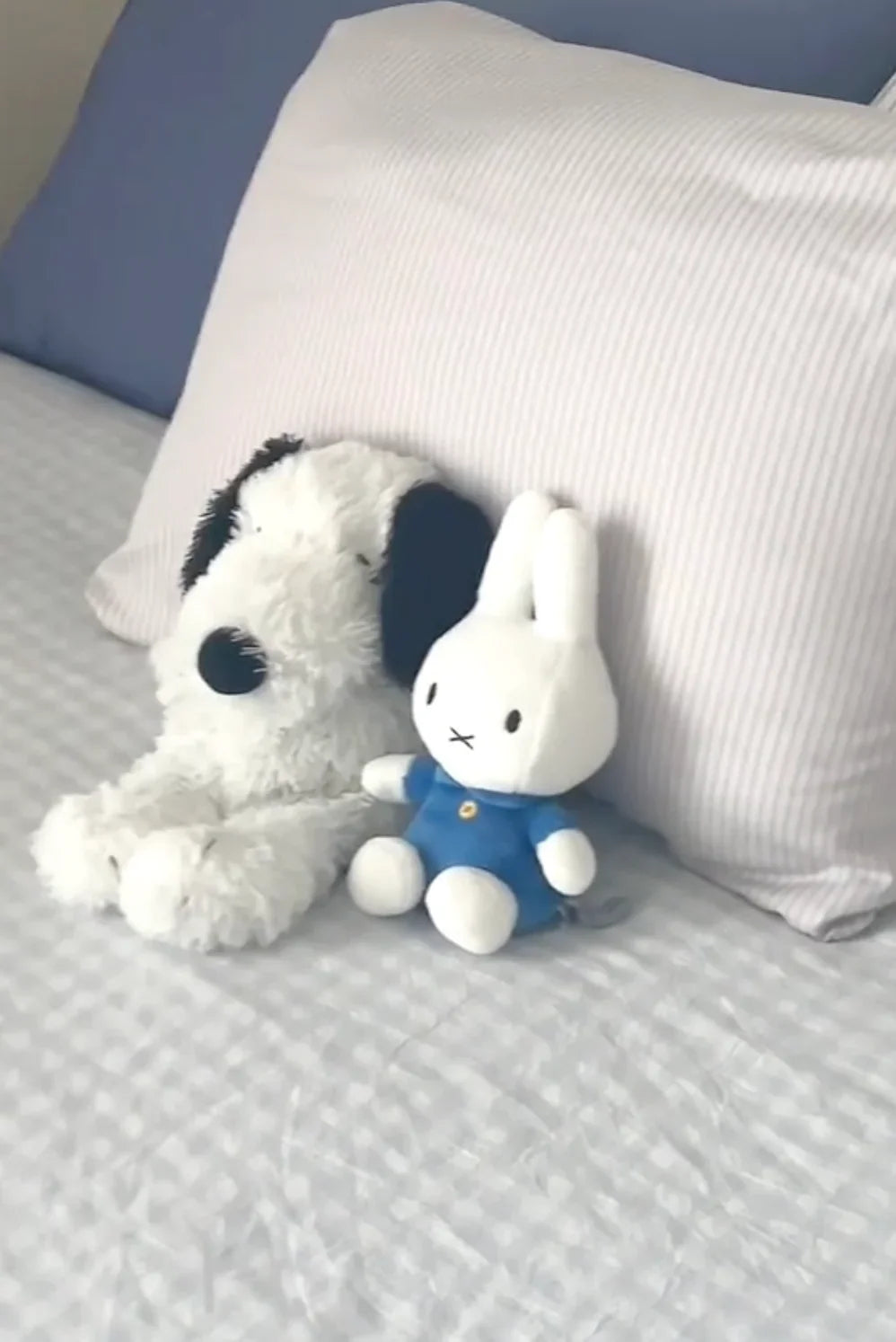 Mixed Gingham Striped Bedding Set / Purple Pink Ever Lasting