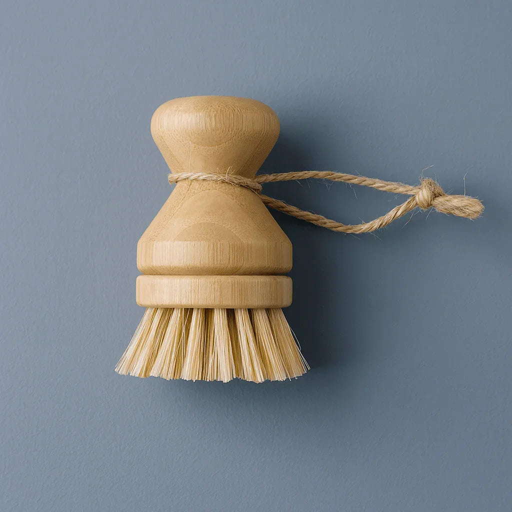 Modular Palm Pot Scrub Brush Zero Waste Outlet