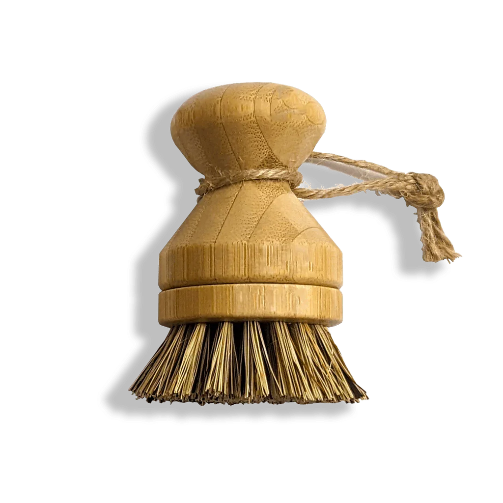 Modular Palm Pot Scrub Brush Zero Waste Outlet