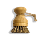 Modular Palm Pot Scrub Brush Zero Waste Outlet