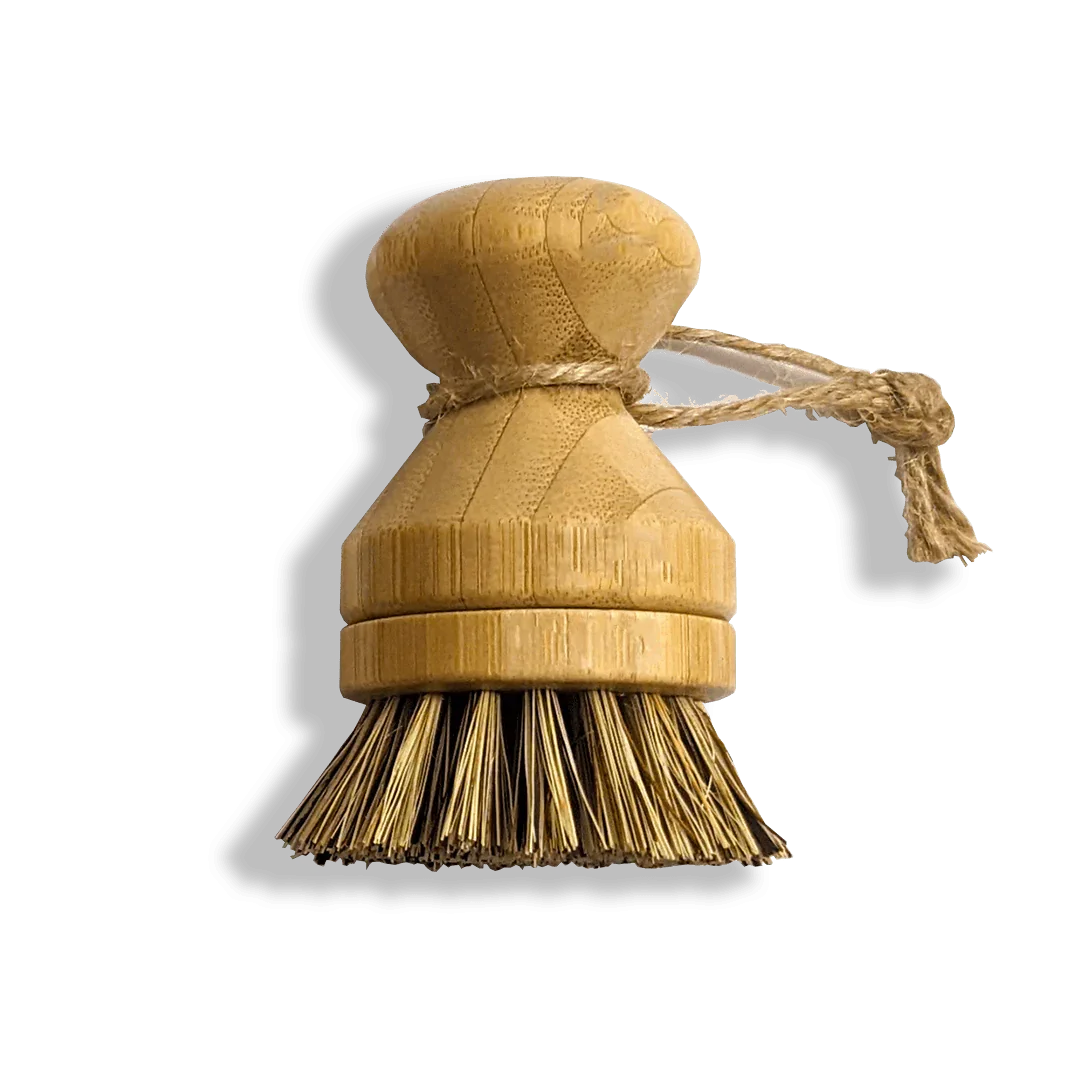 Modular Palm Pot Scrub Brush Zero Waste Outlet