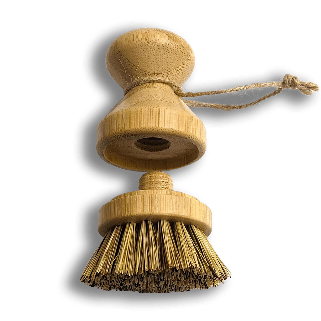 Modular Palm Pot Scrub Brush Zero Waste Outlet