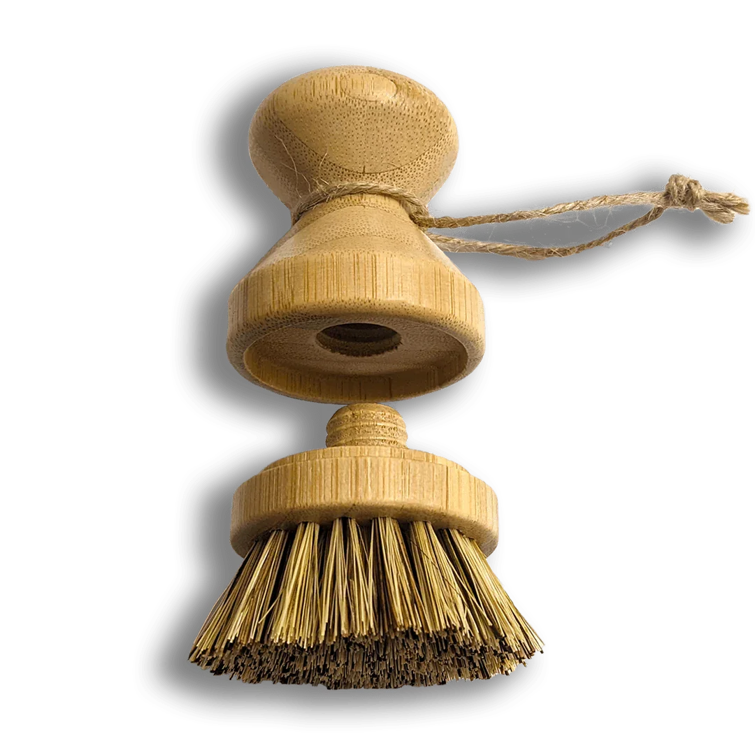 Modular Palm Pot Scrub Brush Zero Waste Outlet