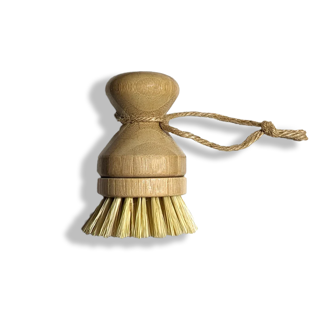 Modular Palm Pot Scrub Brush Zero Waste Outlet