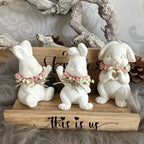 Mold Set - Reusable Silicone 3pcs