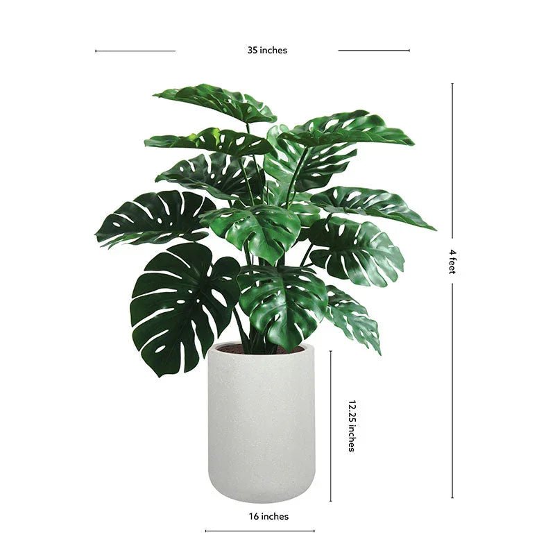 Large Monstera plant in gray ceramic planter, natural leaves - House of Avana