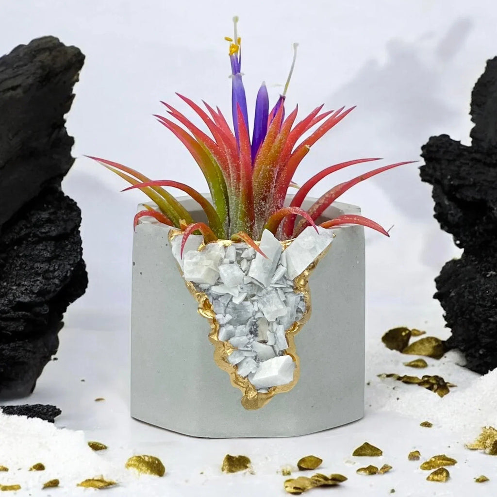Moonstone Geode Planter Natural Stone Indoor Decorative Pot, front view - House Of Avana