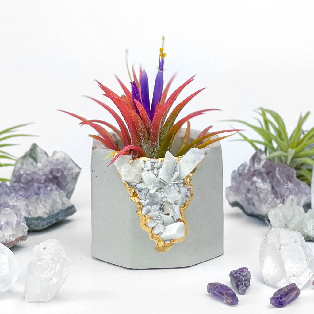 Moonstone Geode Planter Natural Stone Indoor Decorative Pot, back view - House Of Avana