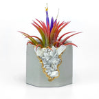 Moonstone Geode Planter Natural Stone Indoor Decorative Pot, side view - House Of Avana