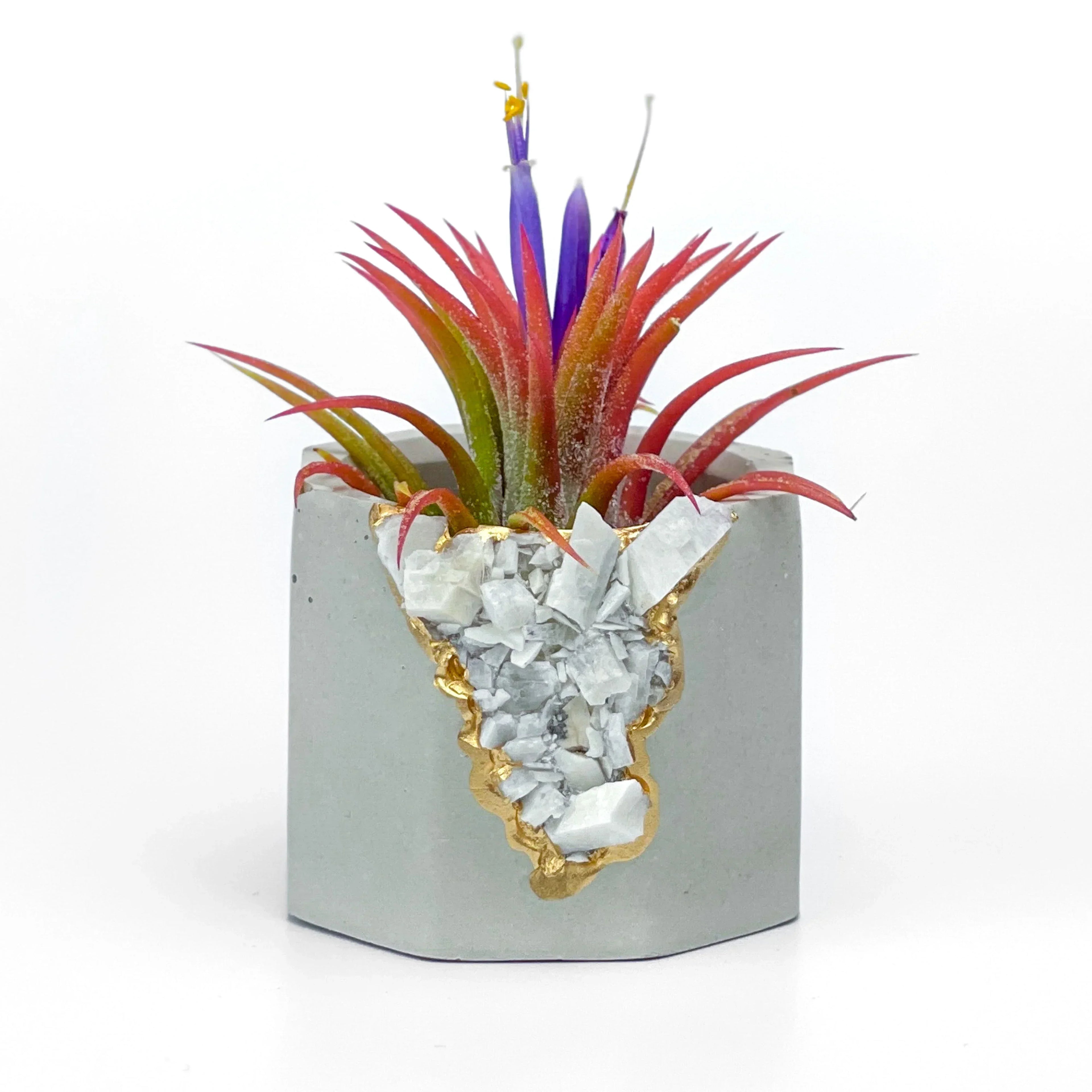 Moonstone Geode Planter Natural Stone Indoor Decorative Pot, side view - House Of Avana