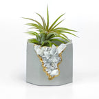 Moonstone Geode Planter Natural Stone Indoor Decorative Pot, lifestyle image - House Of Avana