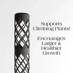 Moss Pole Modular, angled view - House Of Avana