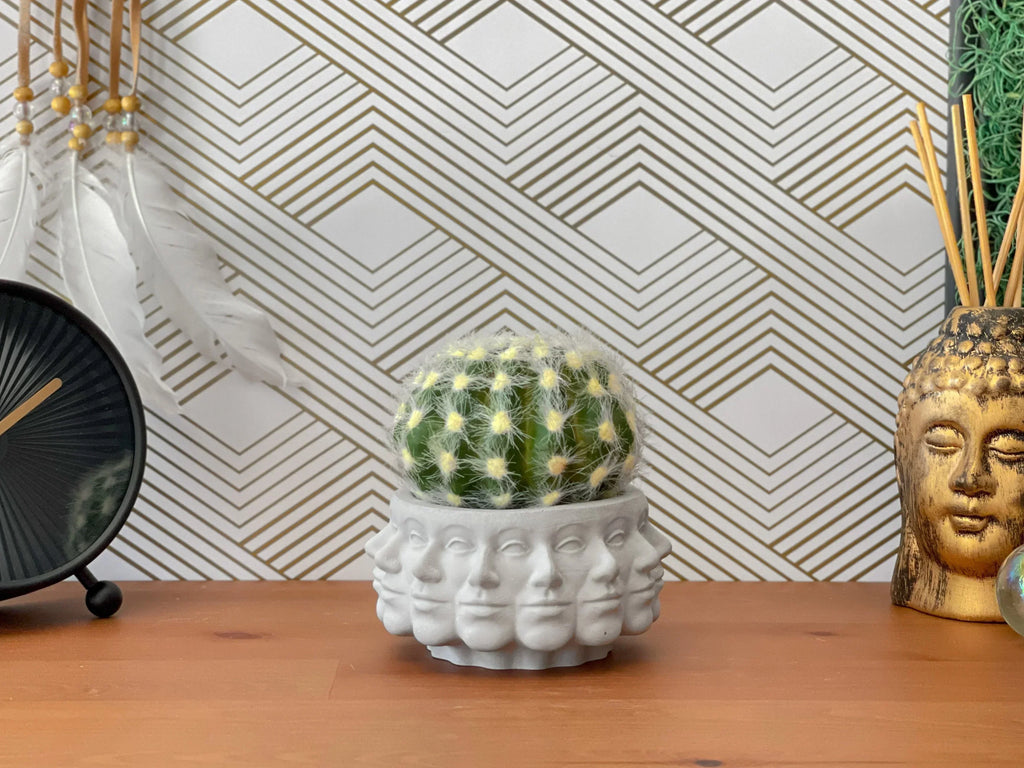 Multi Face Succulent Planter AURA 8 HOME