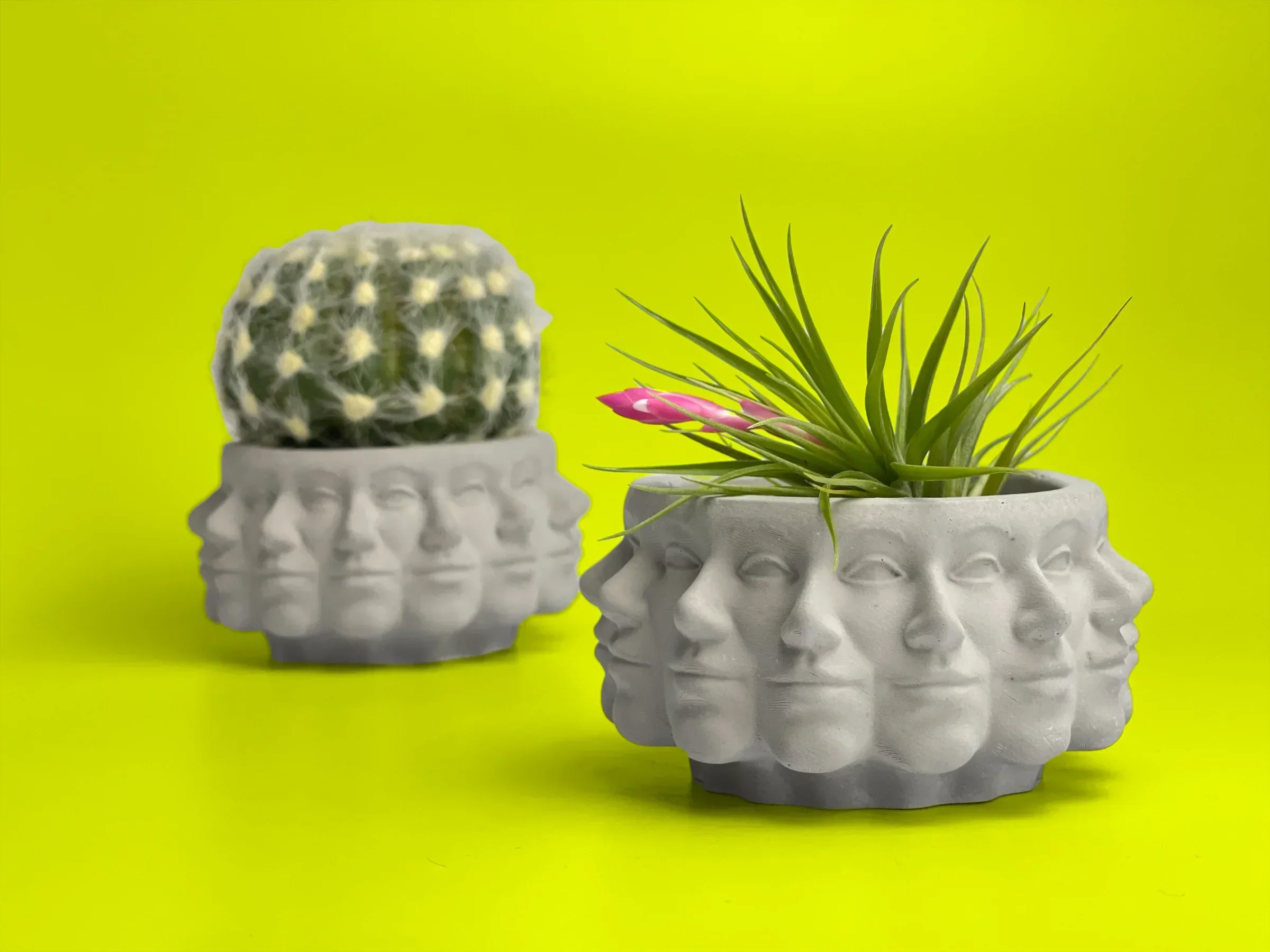 Multi Face Succulent Planter, detail shot - House Of Avana