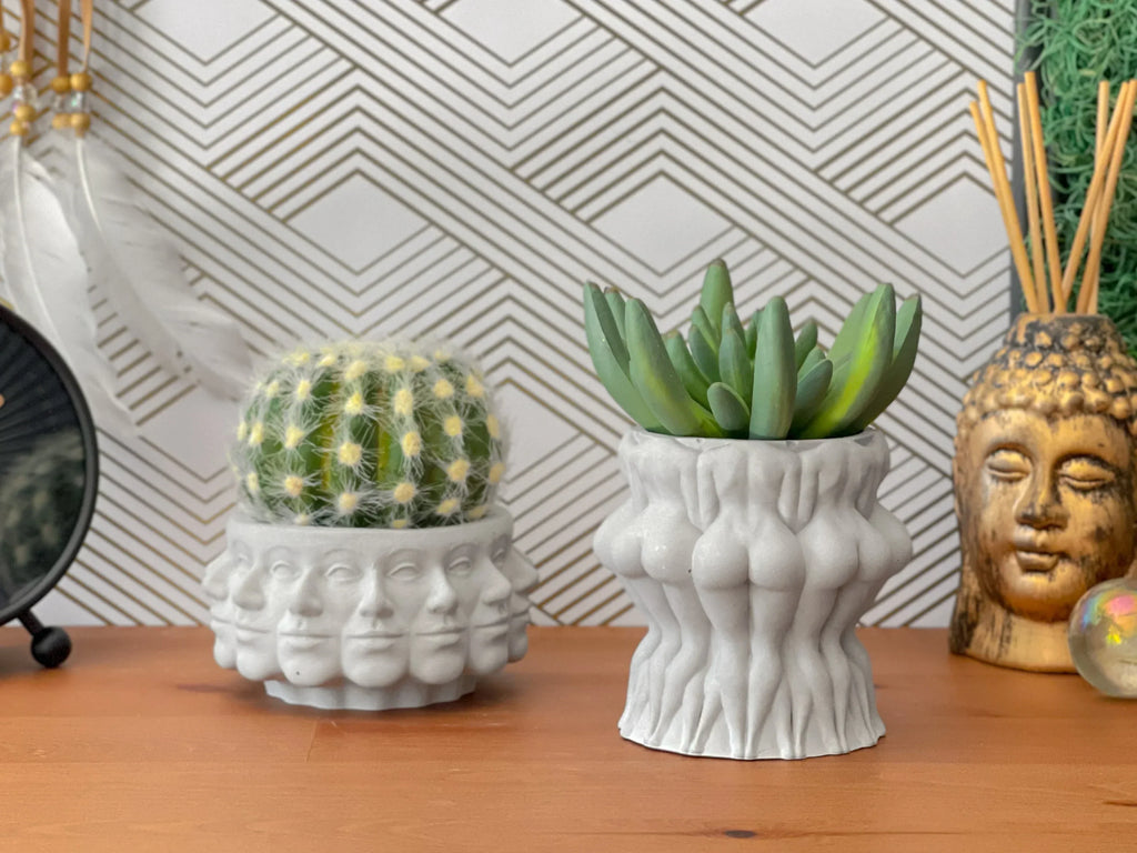 Multi Face Succulent Planter AURA 8 HOME