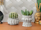 Multi Face Succulent Planter AURA 8 HOME