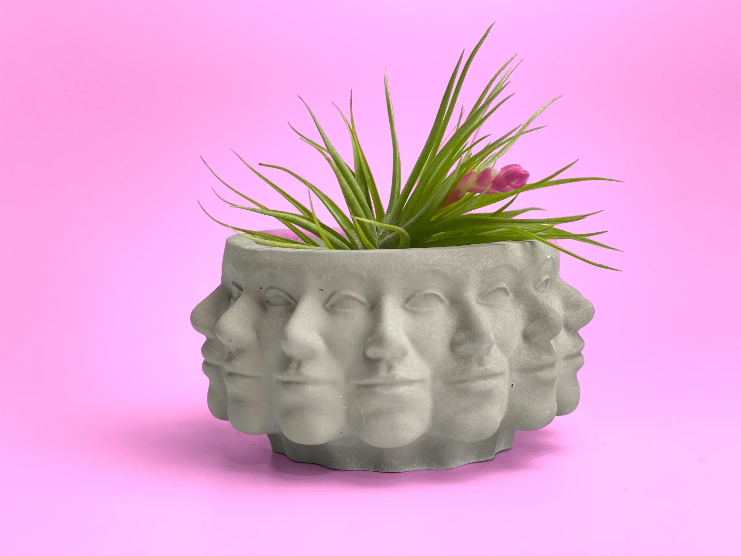 Multi Face Succulent Planter, top view - House Of Avana