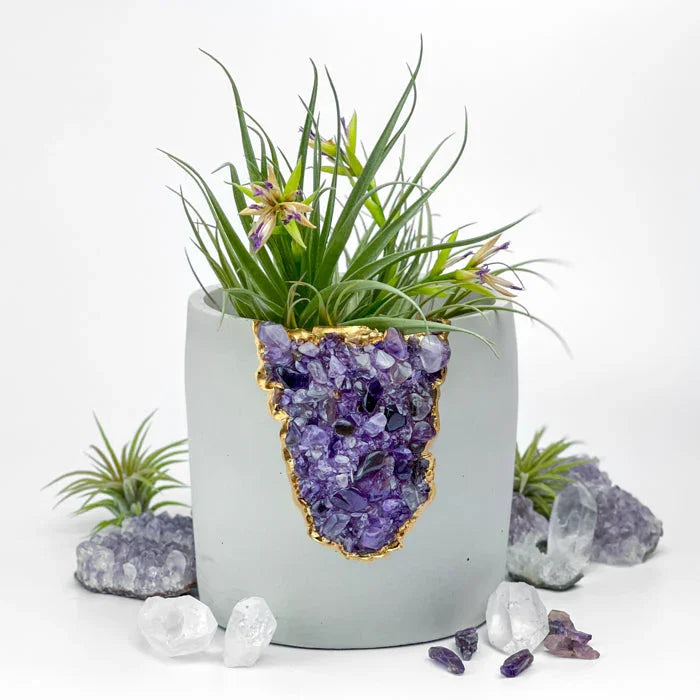 N°5 AMETHYST AURA PLANTER AURA 8 HOME