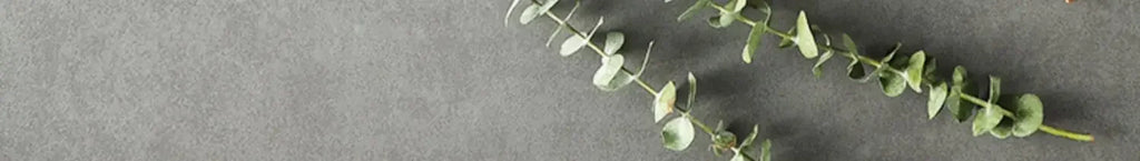 Natural Acacia Wood Dessert Plate, Separated Meal Plate, Household Fruit Plate, Snacks, Household Candy Wooden Bowl Tableware - House Of Avana