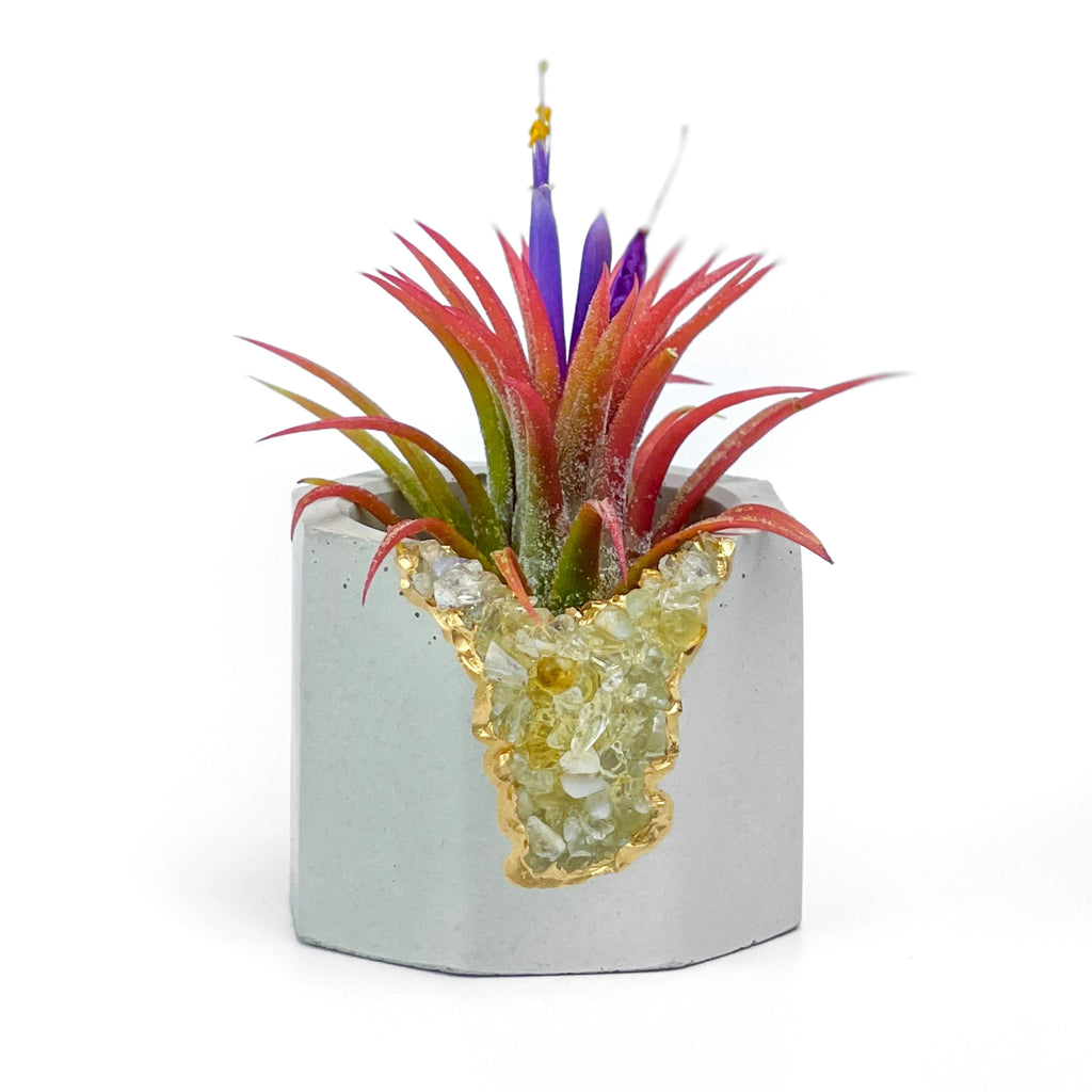Natural Citrine Geode Planter Box with Layered Stone Detail, front view - House Of Avana