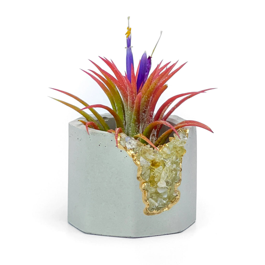 Natural Citrine Geode Planter Box with Layered Stone Detail, side view - House Of Avana