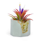 Natural Citrine Geode Planter Box with Layered Stone Detail, side view - House Of Avana
