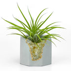Natural Citrine Geode Planter Box with Layered Stone Detail, lifestyle image - House Of Avana