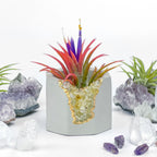 Natural Citrine Geode Planter Box with Layered Stone Detail, top view - House Of Avana