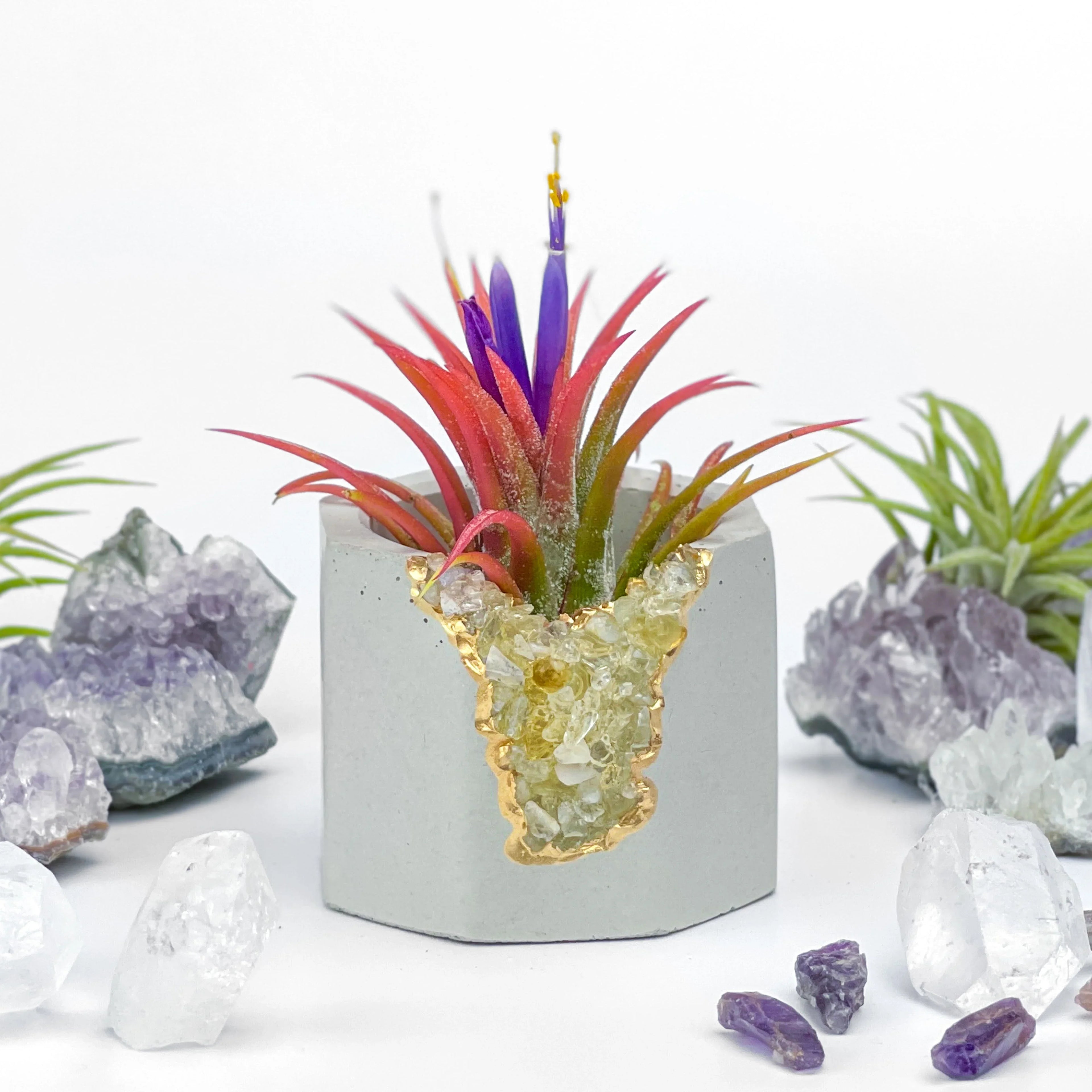 Natural Citrine Geode Planter Box with Layered Stone Detail, top view - House Of Avana