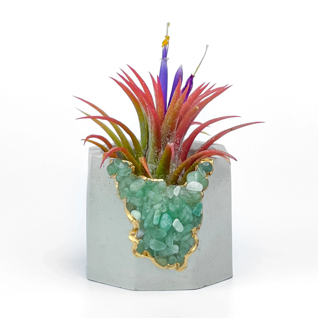 Natural Green Aventurine Geode Planter with Layered Stone Detail, lifestyle image - House Of Avana