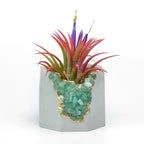 Natural Green Aventurine Geode Planter with Layered Stone Detail, lifestyle image - House Of Avana