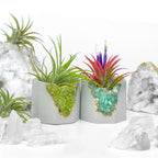 Natural Green Aventurine Geode Planter with Layered Stone Detail, angled view - House Of Avana