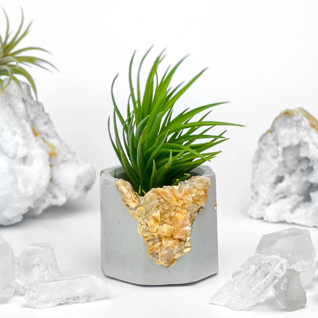 Natural Orange Calcite Geode Planter with Unique Crystal Formation, back view - House Of Avana