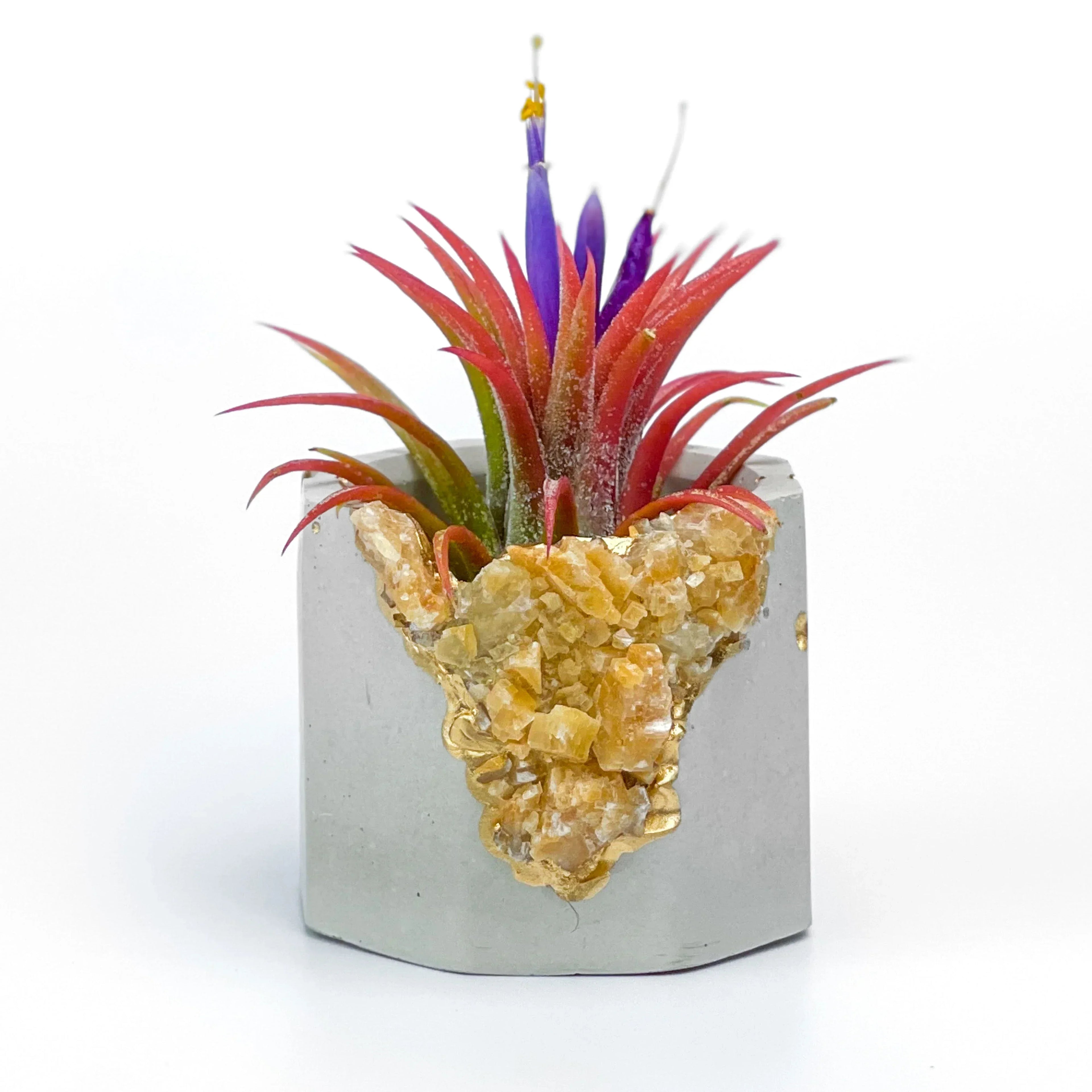 Natural Orange Calcite Geode Planter with Unique Crystal Formation, side view - House Of Avana