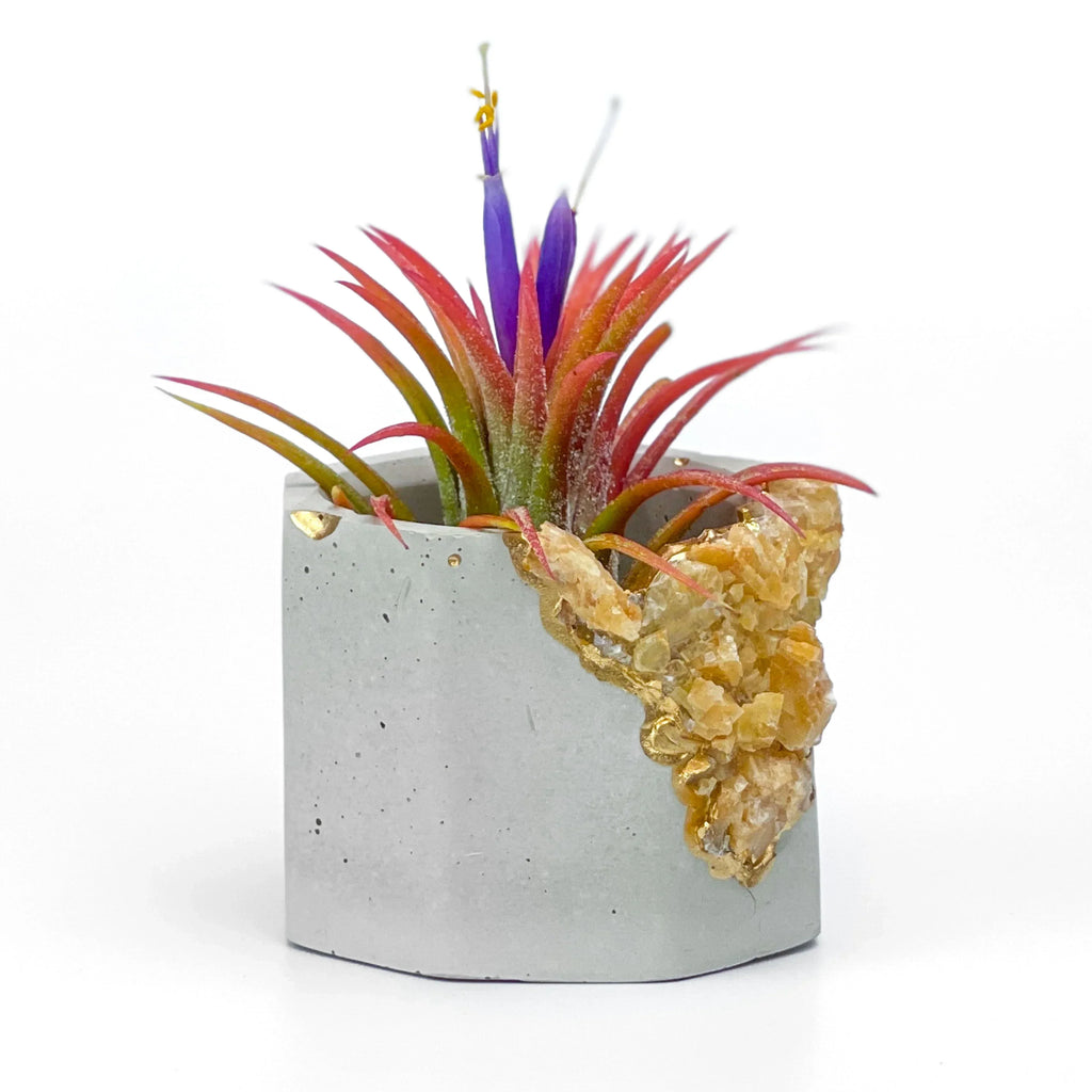 Natural Orange Calcite Geode Planter with Unique Crystal Formation, detail shot - House Of Avana