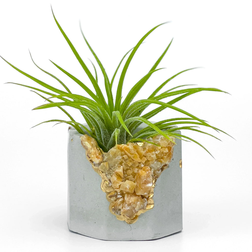 Natural Orange Calcite Geode Planter with Unique Crystal Formation, lifestyle image - House Of Avana