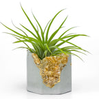Natural Orange Calcite Geode Planter with Unique Crystal Formation, lifestyle image - House Of Avana