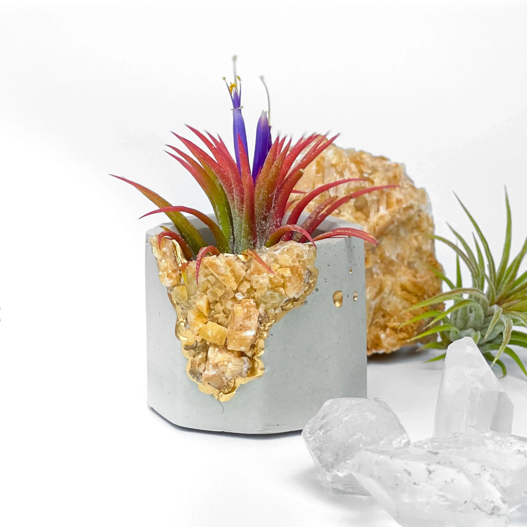 Natural Orange Calcite Geode Planter with Unique Crystal Formation, top view - House Of Avana