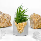 Natural Orange Calcite Geode Planter with Unique Crystal Formation, angled view - House Of Avana