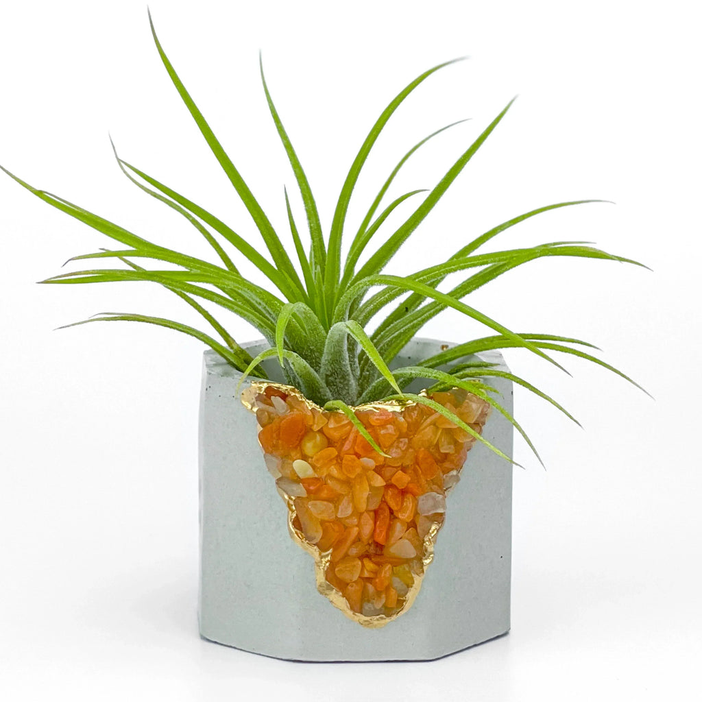 Natural Red Aventurine Geode Planter with Unique Mineral Layers, side view - House Of Avana