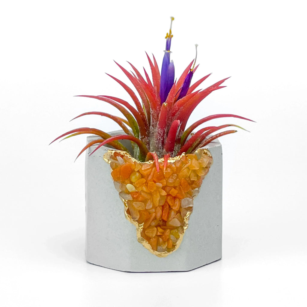 Natural Red Aventurine Geode Planter with Unique Mineral Layers, detail shot - House Of Avana