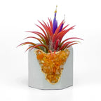 Natural Red Aventurine Geode Planter with Unique Mineral Layers, detail shot - House Of Avana