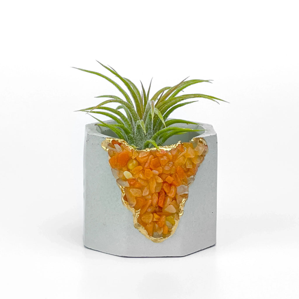 Natural Red Aventurine Geode Planter with Unique Mineral Layers, lifestyle image - House Of Avana
