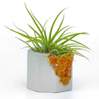 Natural Red Aventurine Geode Planter with Unique Mineral Layers, top view - House Of Avana