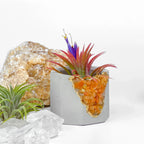 Natural Red Aventurine Geode Planter with Unique Mineral Layers, angled view - House Of Avana
