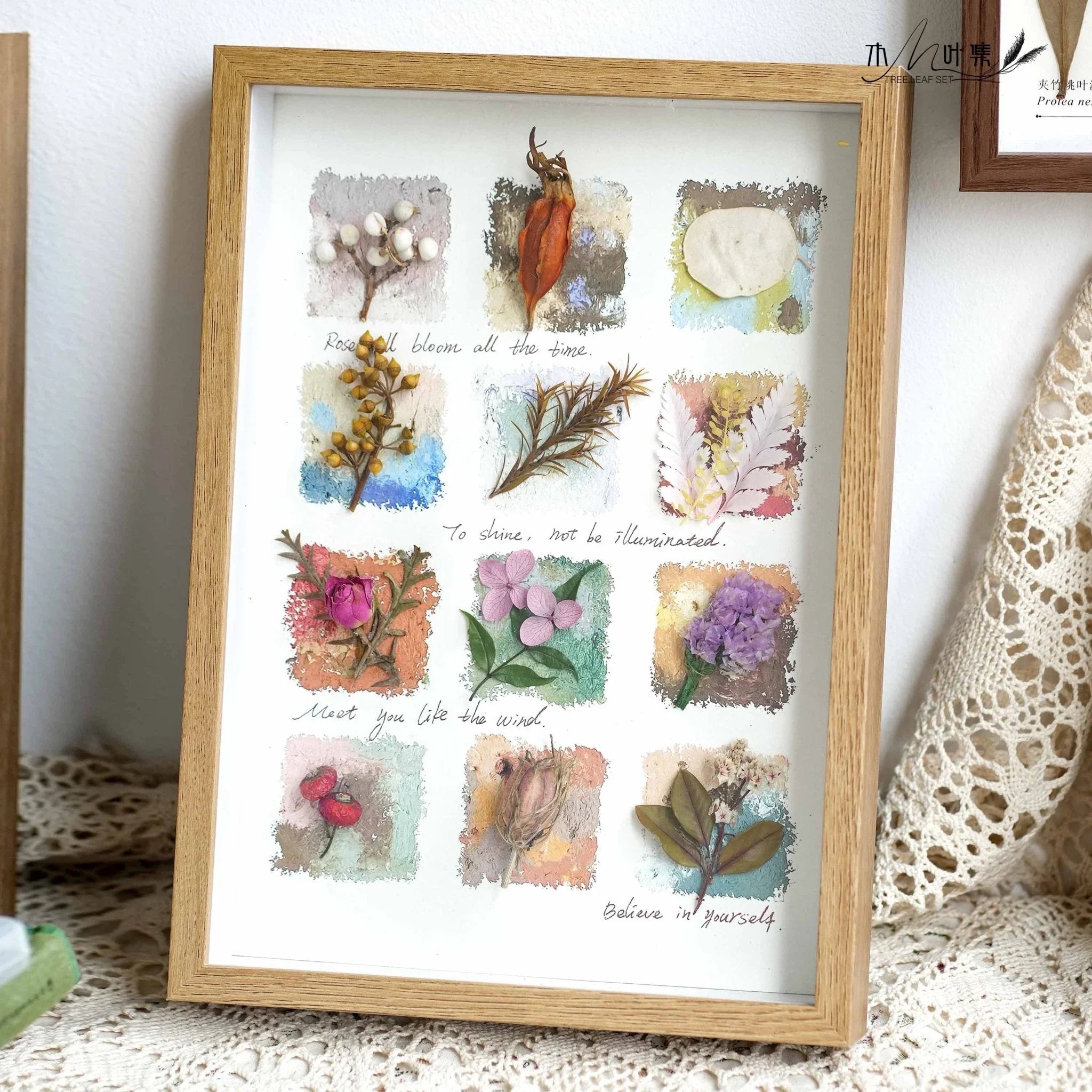 "Nature's Cabinet" Botanical Specimen Shadow Box